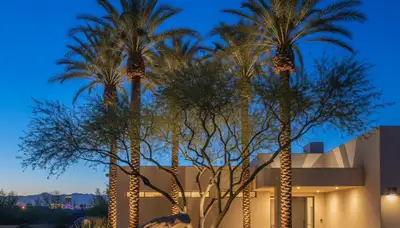 Dramatic tree uplighting design by Chop Chop Landscaping in Las Vegas, NV showcasing professional lighting artistry